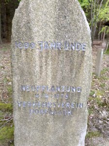Gedenkstein 1000-jährige Linde Brock, Heidekreis, 2020
