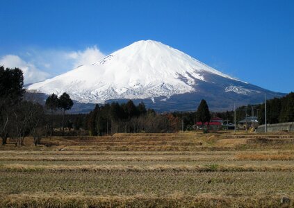 Rice winter shizuoka prefecture