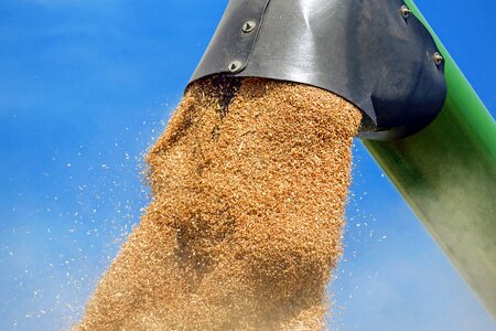 Grain harvest agriculture photo