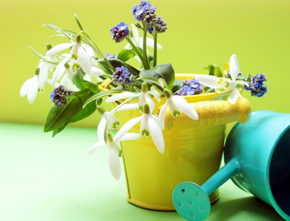 Watering can bucket yellow