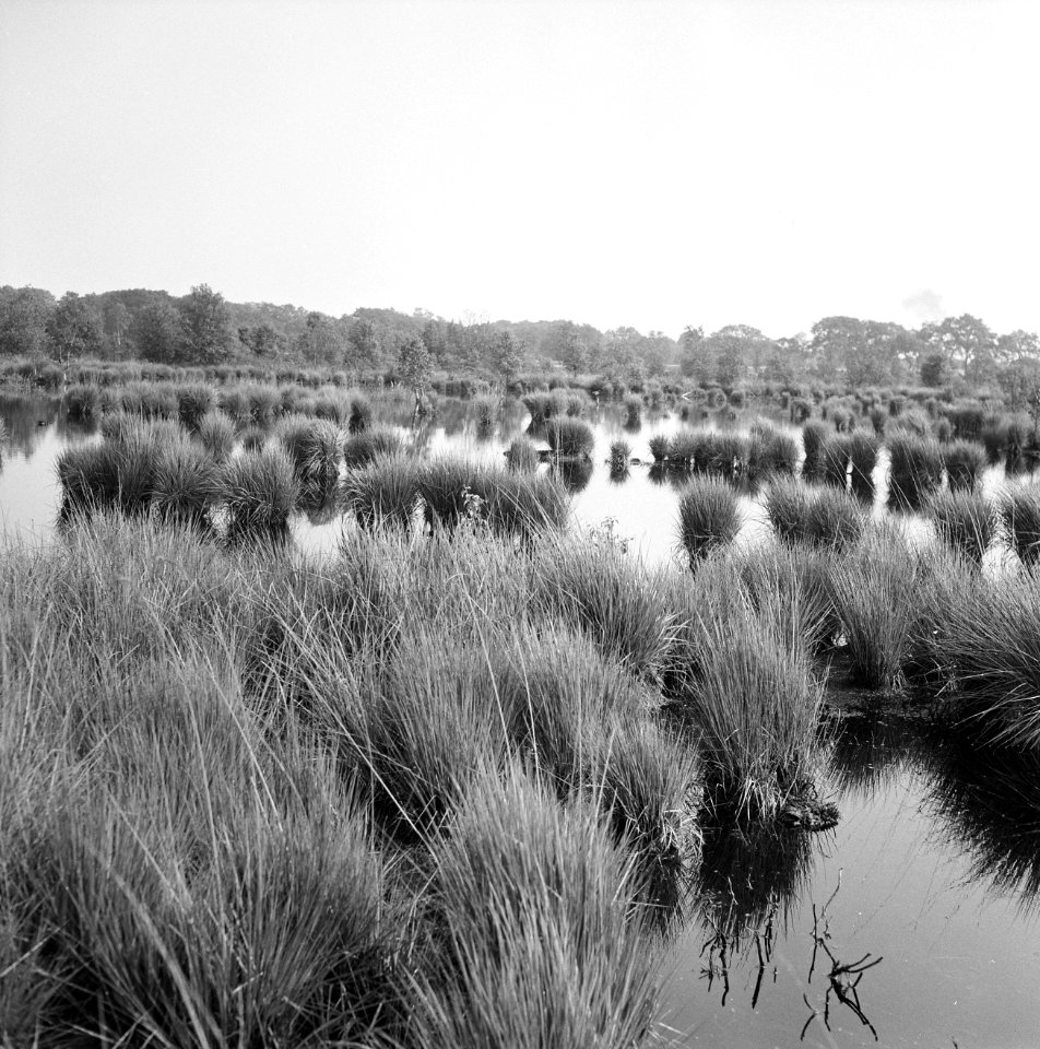 Geen foto, wel negatief, Bestanddeelnr 163-0694