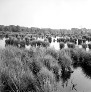 Geen foto, wel negatief, Bestanddeelnr 163-0694