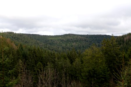 Gefällterkopf from north west 2020-03-11 06