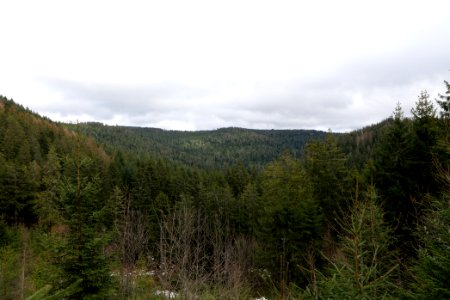 Gefällterkopf from north west 2020-03-11 03