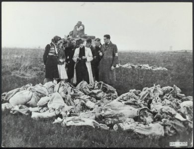 Geen bijschrift, Bestanddeelnr 120-0765