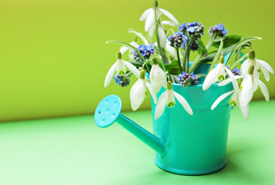 Watering can yellow green