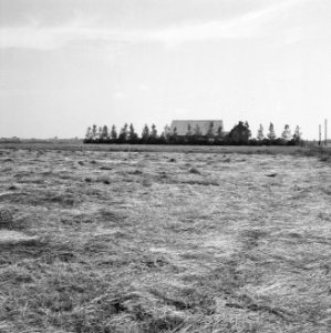 Gebouwen, boerderijen, beplantingen, land van megen, Bestanddeelnr 163-0267