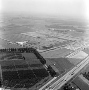 Gebouwen, bomen, akkers, Bestanddeelnr 250-8684