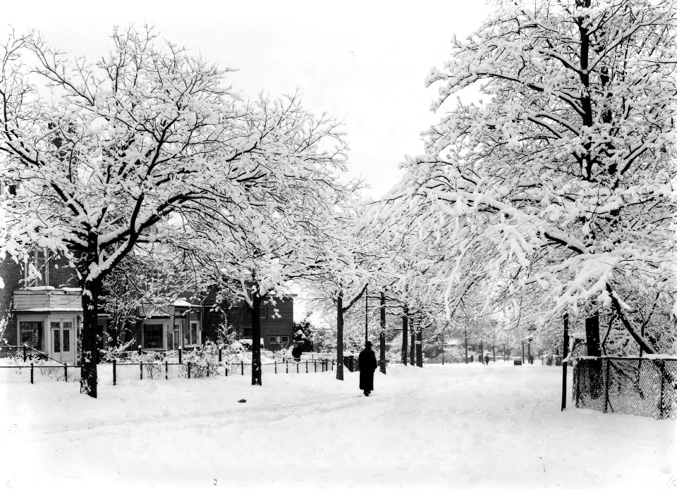 Gebouwen, bomen, sneeuw, Bestanddeelnr 253-6856
