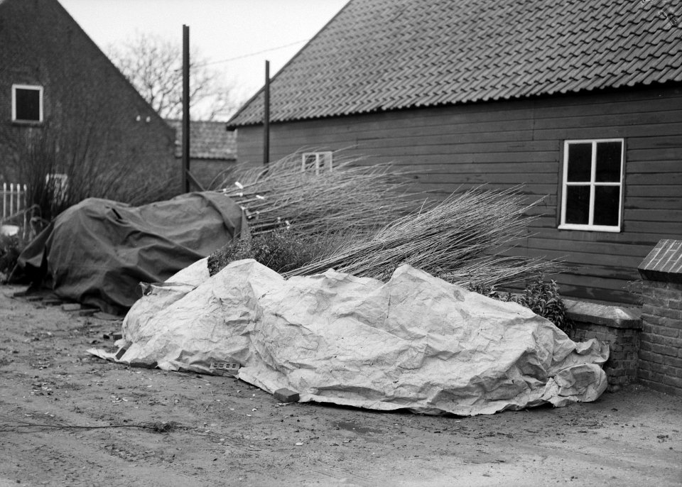 Gebouwen, huizen, schuren, jonge bomen, afdekkleden, Bestanddeelnr 251-8075