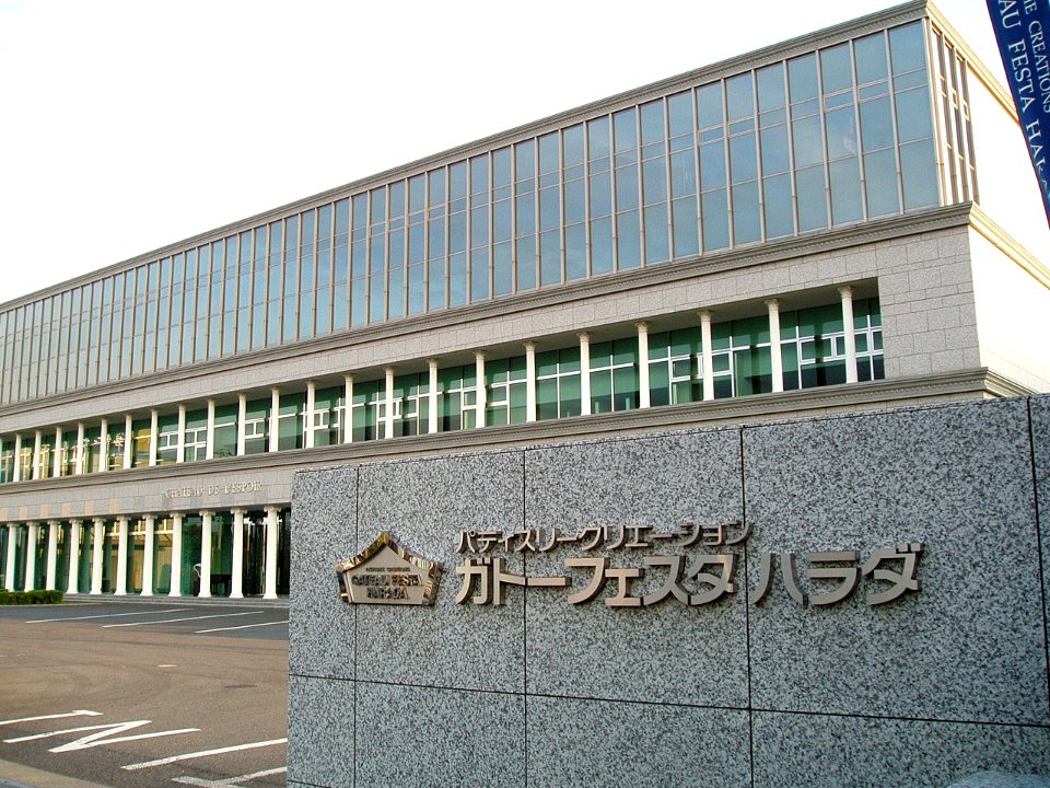 Gateau-Festa-Harada-Factory-2012051301