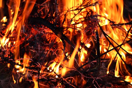 Wood baking toasting