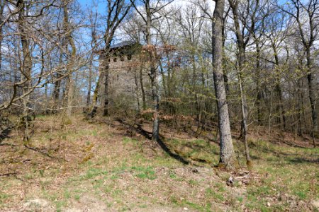 Gaulskopf Taunus 2021-04-02 04