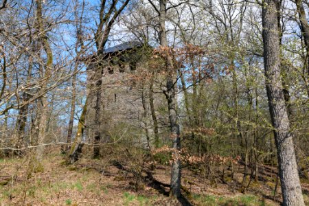 Gaulskopf Taunus 2021-04-02 03