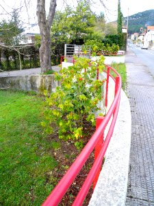 Gautegiz Arteaga 22