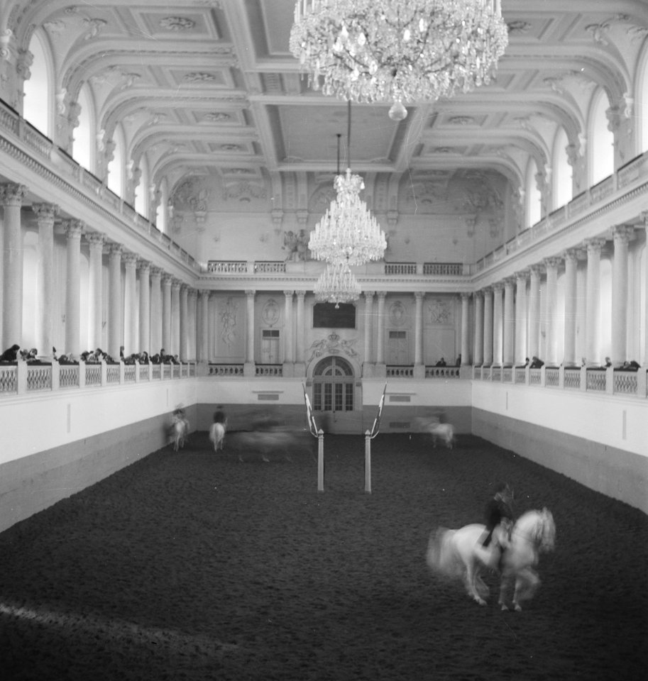 Gebouwen, interieur, paarden, rijscholen, Bestanddeelnr 253-5713