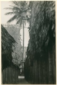 Gatubild från cuna-by. Sydamerika, Centralamerika, Mellanamerika. Panama - SMVK - 0197.0071