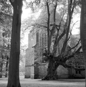 Gebouwen, kloosters, Groningen, Bestanddeelnr 250-8037