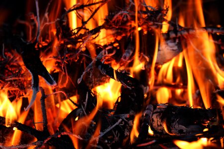 Wood baking toasting