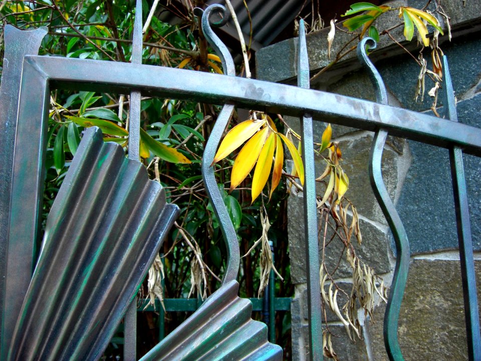 Gates of the botanical gardens from Cairns