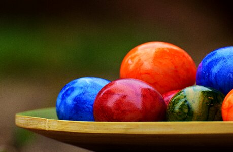 Happy easter egg colored