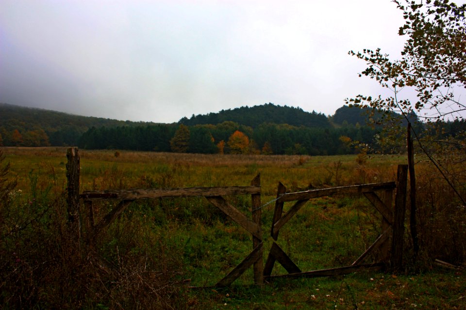 Gate To Nowhere 3 (179749625)