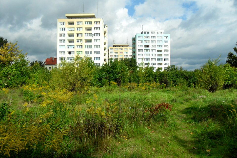 Gdańsk ulica Grunwaldzka 476, 478 i 480