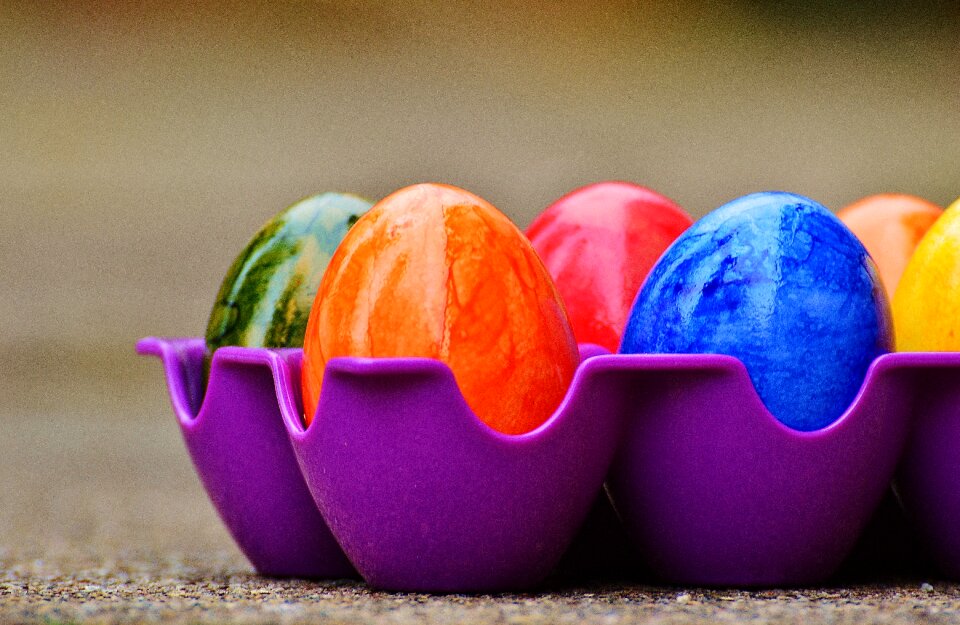 Happy easter egg colored