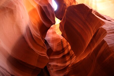 Lock canyon antelope