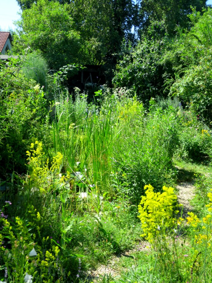 Garten Neubiberg 4