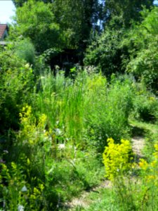 Garten Neubiberg 4