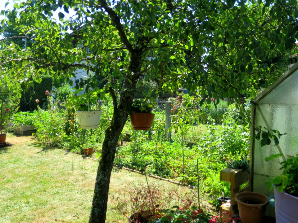 Garten Unterhaching 19