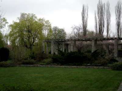 Garten Rüdesheimer Straße 50 Berlin-Wilmersdorf