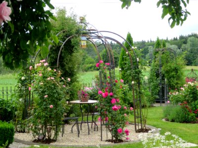 Garten Karlsdorf 9