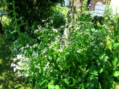 Garten Unterhaching 17