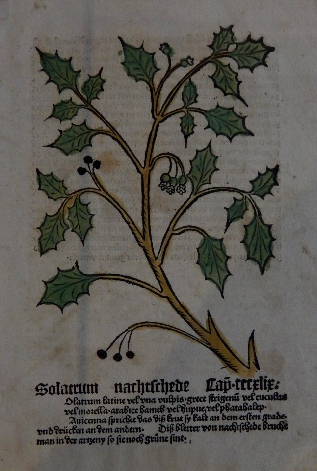 Gart der Gesundheit 1485