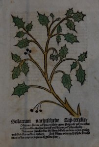 Gart der Gesundheit 1485
