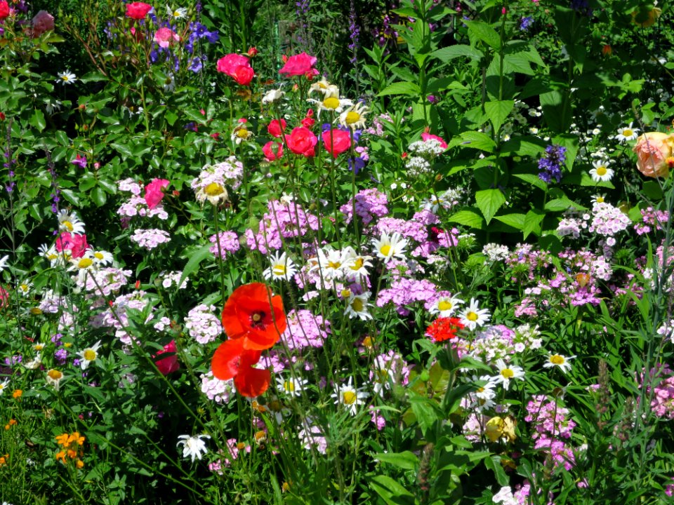 Garten Ebersberg 7