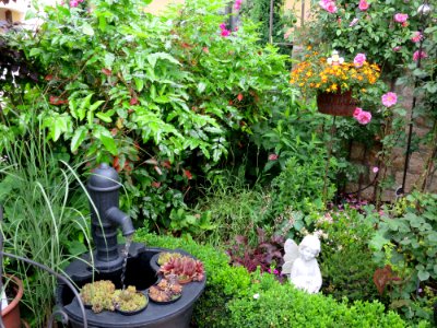 Garten Karlsdorf 10