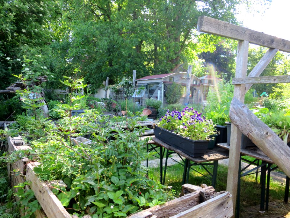 Garten Forst Kasten
