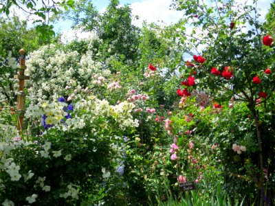 Garten Ebersberg 10