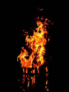 Wood fire hot brand