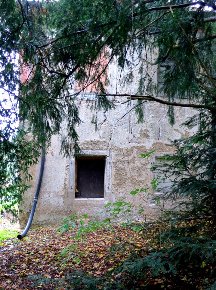 Gartenhaus (Regensburg) 08