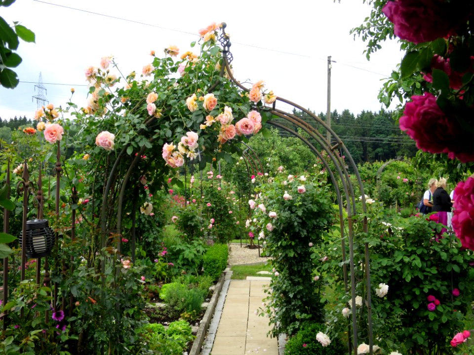 Garten Karlsdorf 1