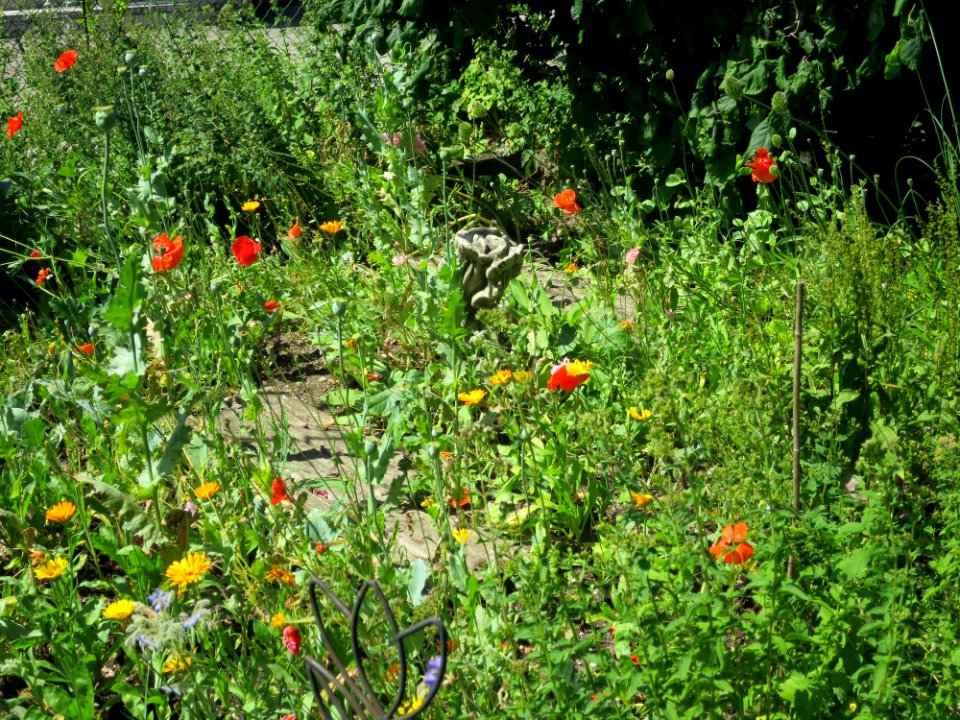 Garten Unterhaching 6