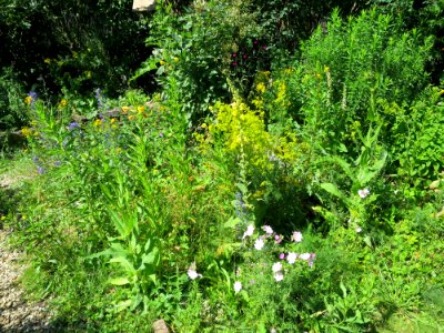 Garten Neubiberg 2