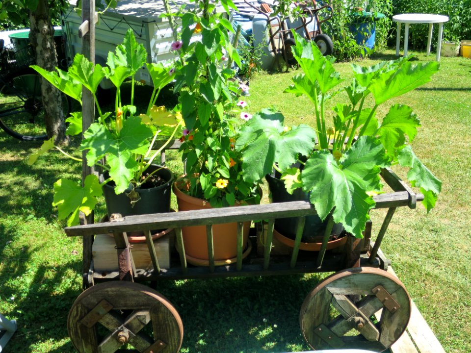 Garten Unterhaching 3