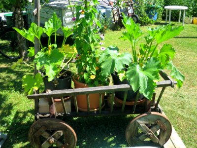 Garten Unterhaching 3