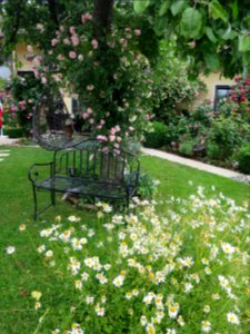 Garten Karlsdorf 8