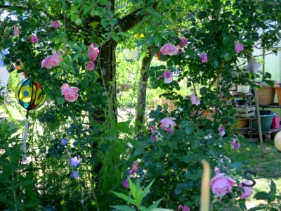Garten Unterhaching 7